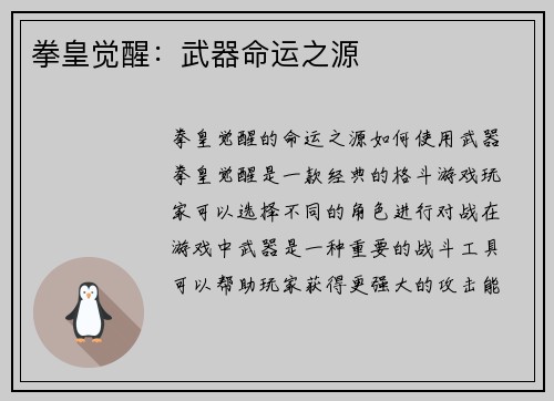 拳皇觉醒：武器命运之源